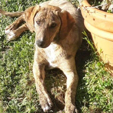 Hai bisogno di parlarci? Scrivici qui 👇