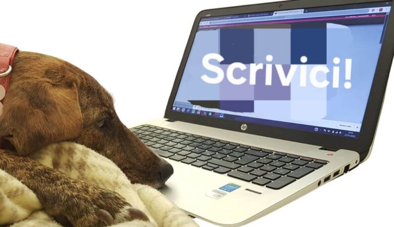 contatta il team di baubaustories.it