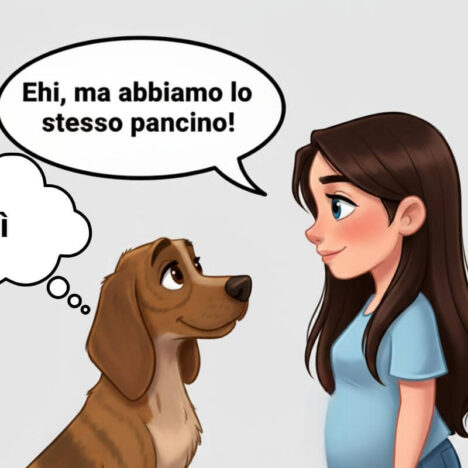Conoscerti e conoscersi: iniziare a capire il proprio cane
