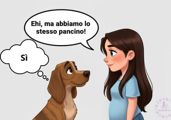cani e padroni umani si somigliano