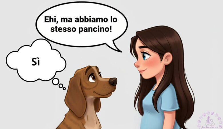 cani e padroni umani si somigliano