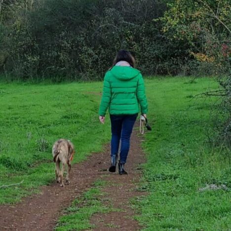 Il carattere del cane: impariamo a conoscere il nostro amico a quattro zampe