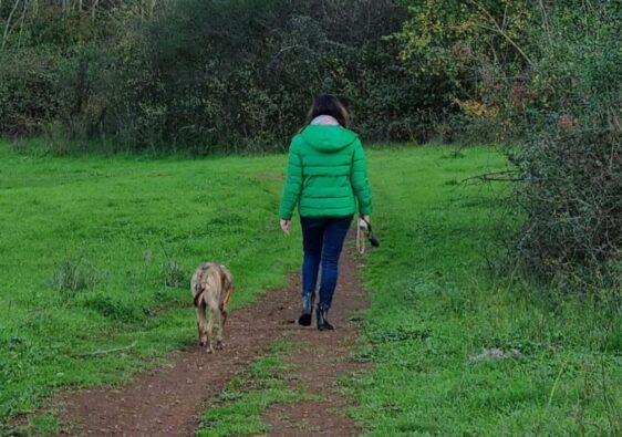 educazione cinofila è importante per padrone e cane