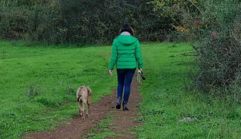 educazione cinofila è importante per padrone e cane