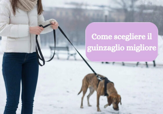 come scegliere guinzaglio migliore per cane