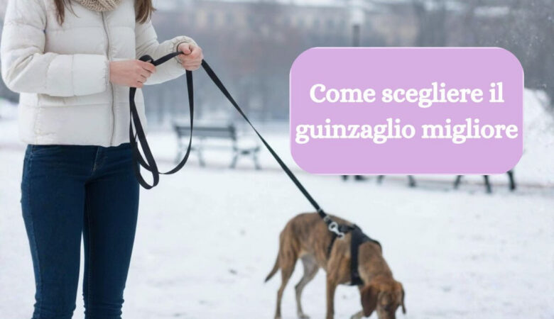 come scegliere guinzaglio migliore per cane