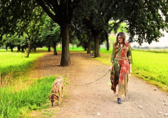 come migliorare la passeggiata con il tuo cane