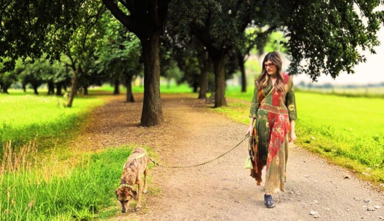 come migliorare la passeggiata con il tuo cane