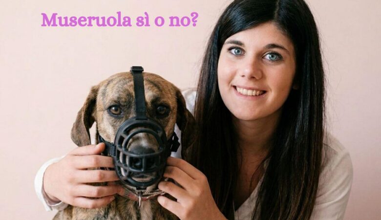 museruola cane come scegliere modello migliore e metterla al cane