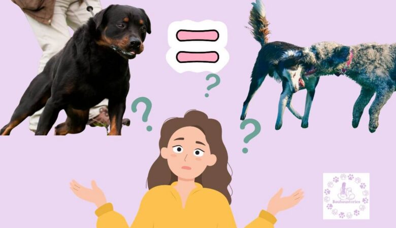 collare a strozzo non simula la comunicazione tra cani